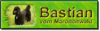 Banner f&uuml;r Zwergpudel-Bastians Seite